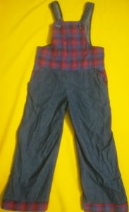 Kids Costumes to Hire - Dungaree Blue & checked detail